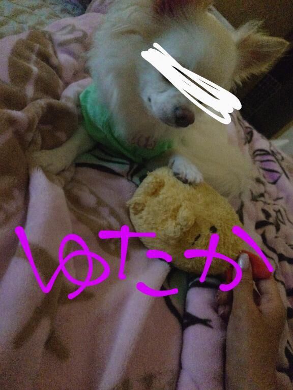 おもちゃ☆