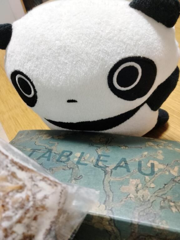 今日も
