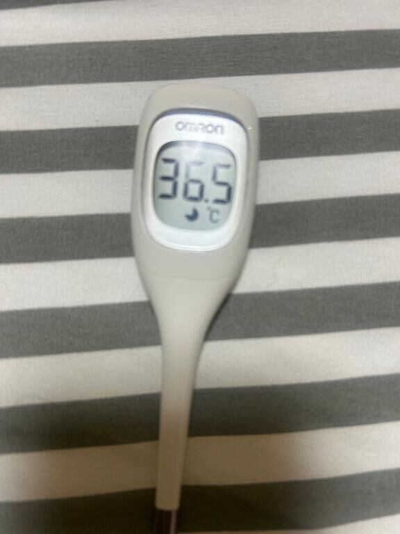 今日の体温