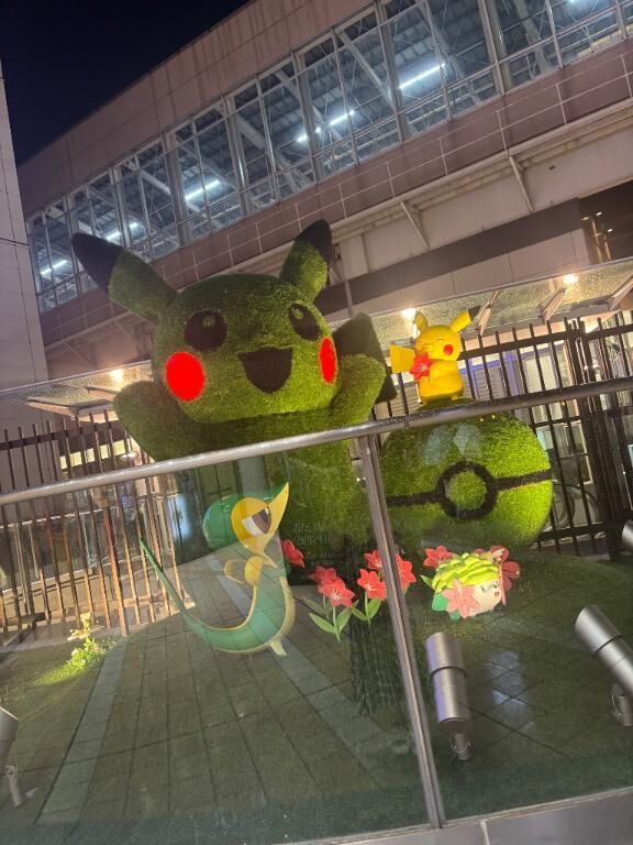 &#128171;一番星なの