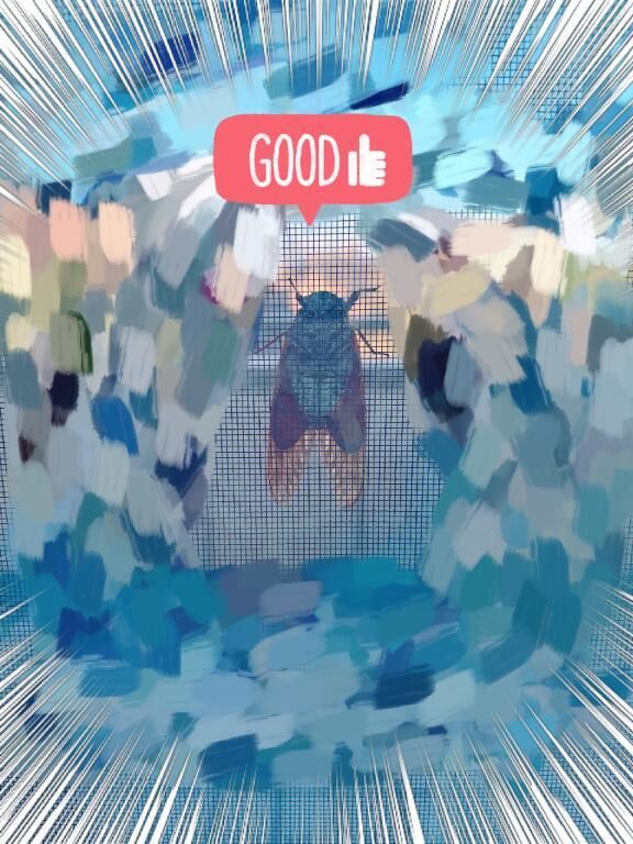 夏のお客様
