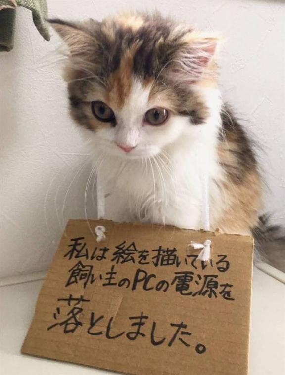 これは重罪(^^*)