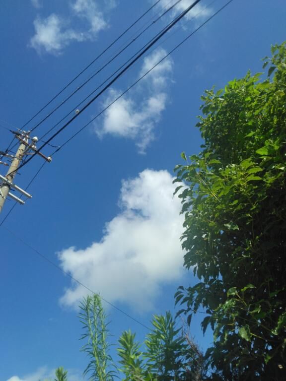 お昼ですよ〜