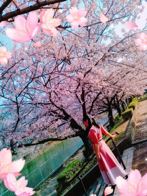 三連休はお出かけされましたか？&#128038;&#65039;