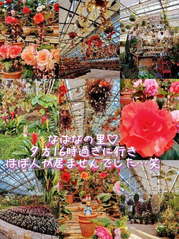 &#127801;&#128151;三重県の&#127799;&#128151;&#127801;