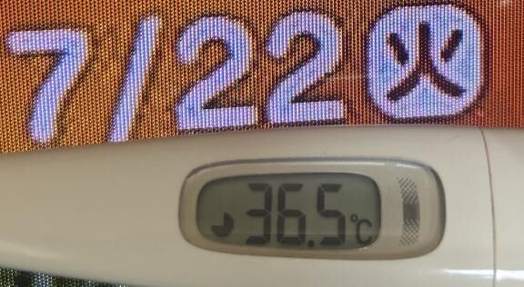 出勤します^o^