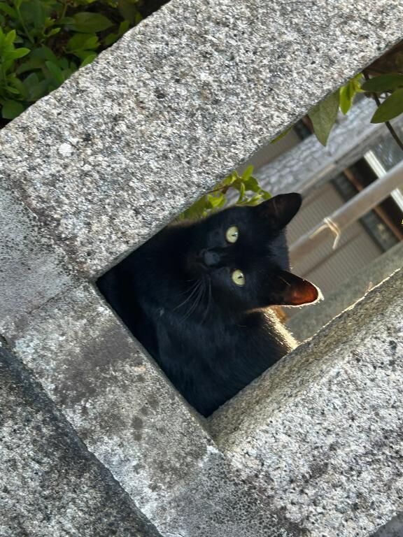 おはよ