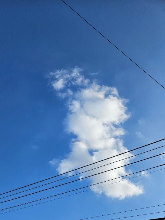 おはようございます♪