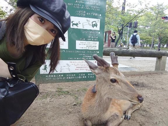 ことりん日記