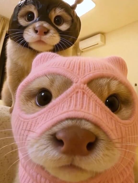 おはよう、ごめんね&#9825;