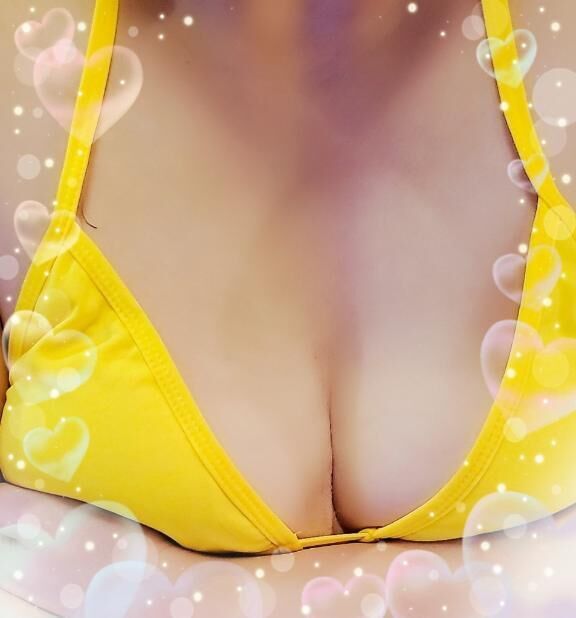 今日の予定は？