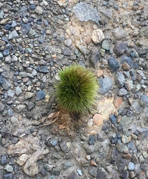 はじめて！