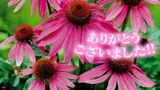 再会のY様にお礼です♪