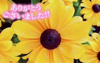 再会のY様にお礼です♪