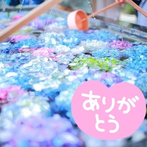 ありがとうございました