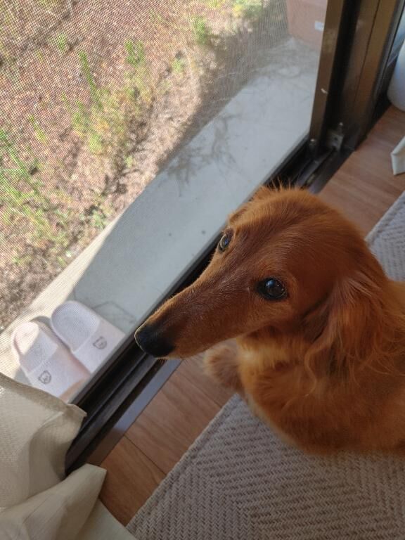 おはようございま―す&#9825;&#9825;&#9825;&#9825;&#9825;&#9825;