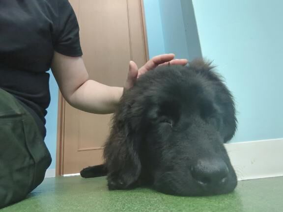 楽しかった&#128021;
