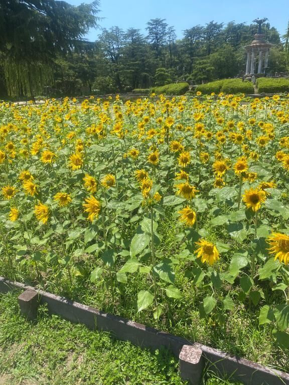 &#127803;*.?