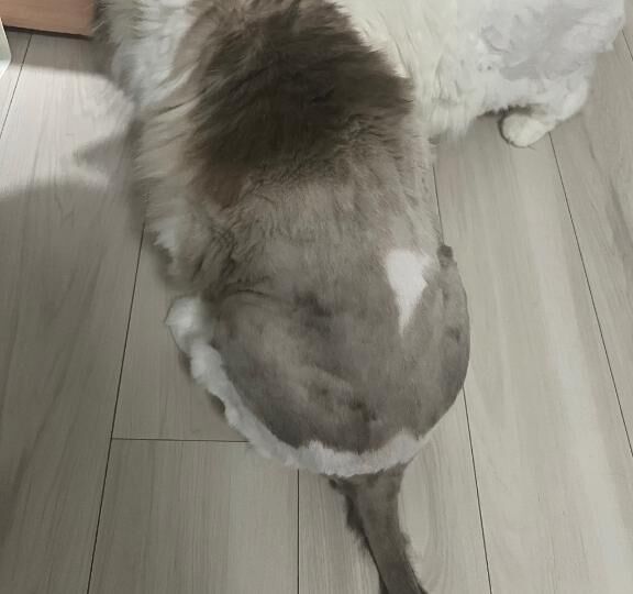 休