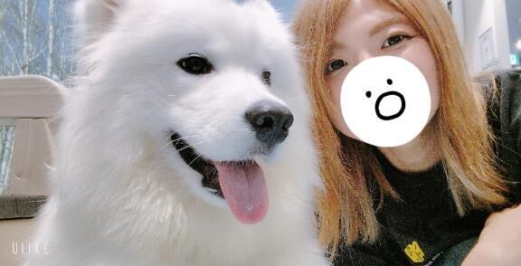 実は…