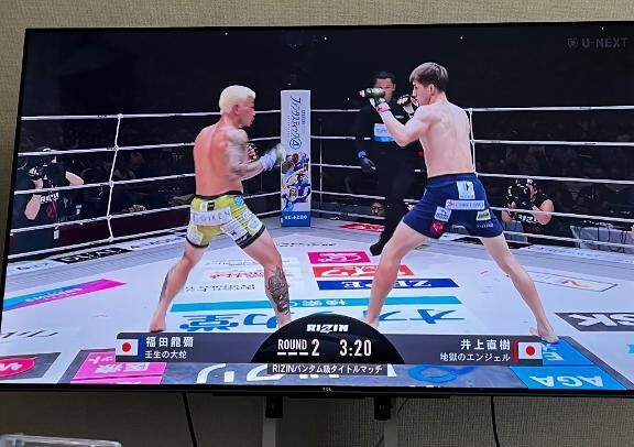 面白かった