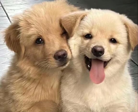 ありがとまる&#128156;