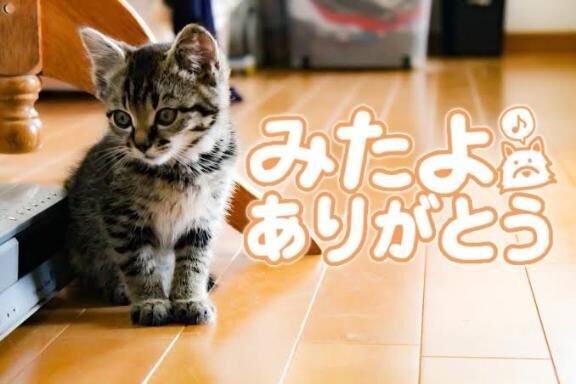 みたよ！ありがとう&#9825;