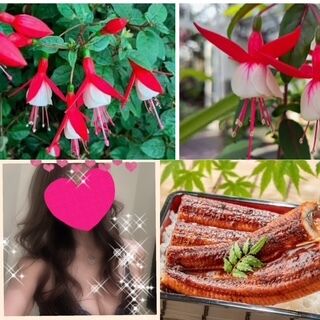 おはようございます♪