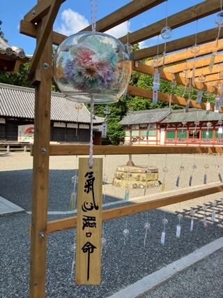 おはようです(*&#714;&#728;&#715;*)