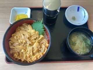 ありがとうございます