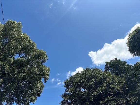 &#10024;今日は&#10024;