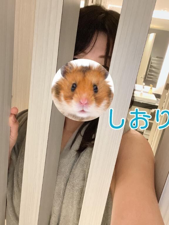 出没&#9989;