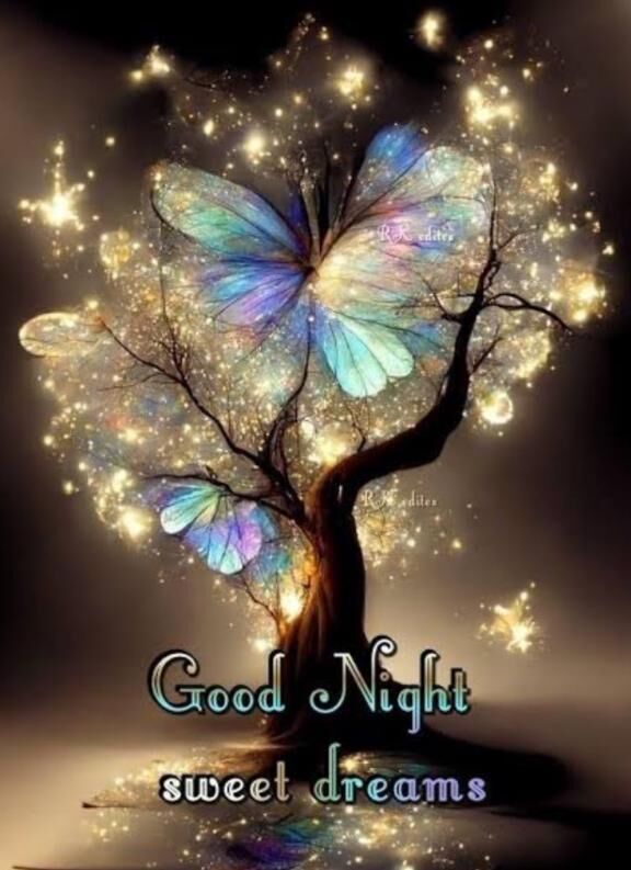 good night&#9825;