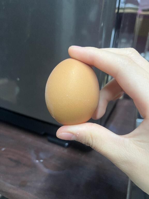 たまご讀