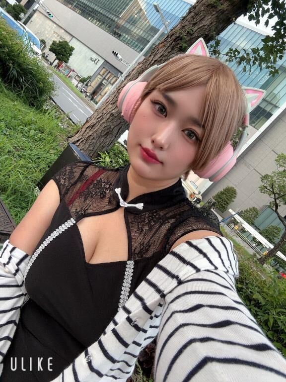 シャム猫