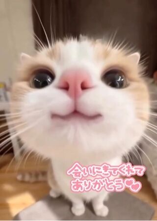 3日(日)の感謝です(*´♡♡`人)