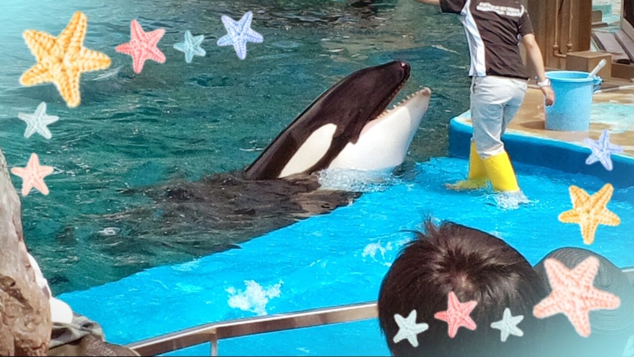 帰宅中♪♪