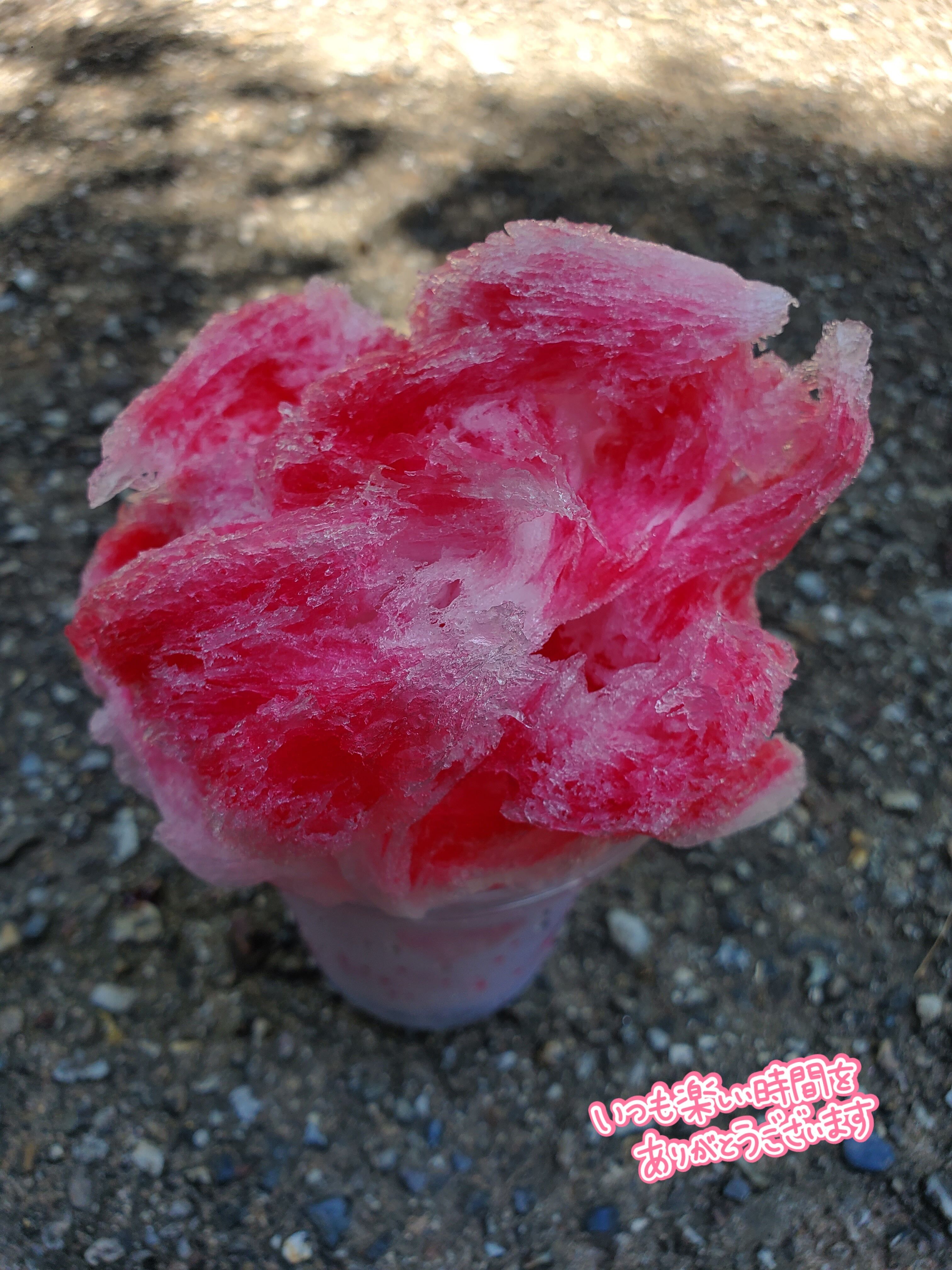 おはようございます&#9825;