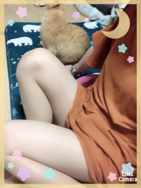 おはよう