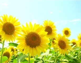 出勤しまーす&#9825;(*^^*)