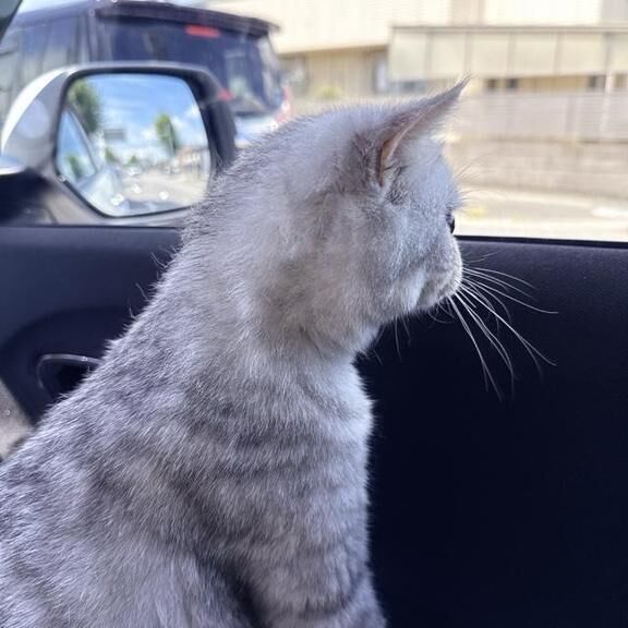 お里帰り&#127968;