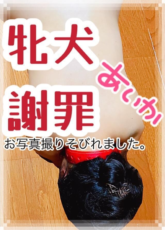 礼