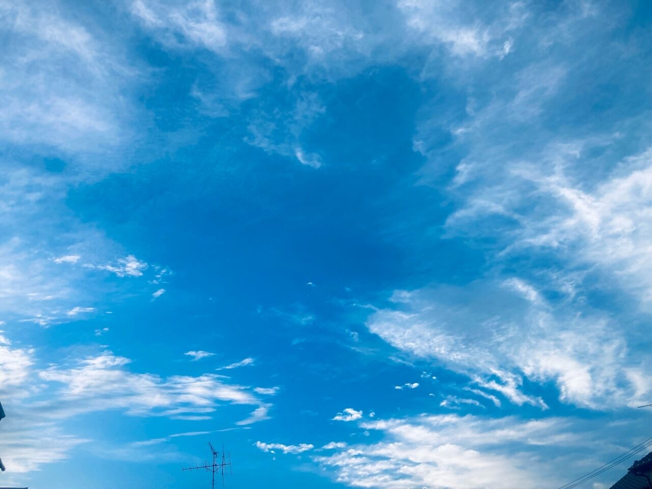 おはようございます&#128149;8月9日