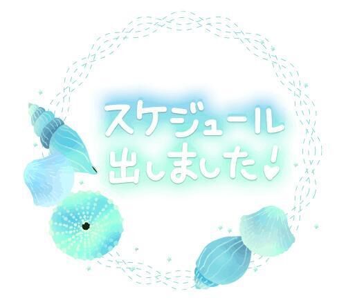 スケジュール