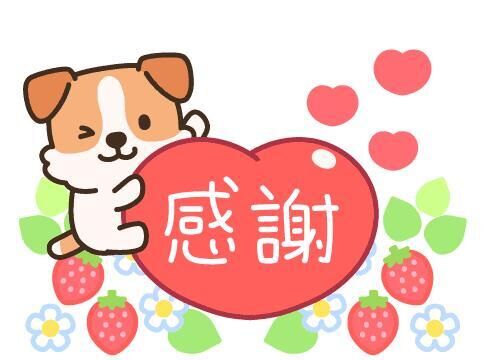 29日17時のお客様