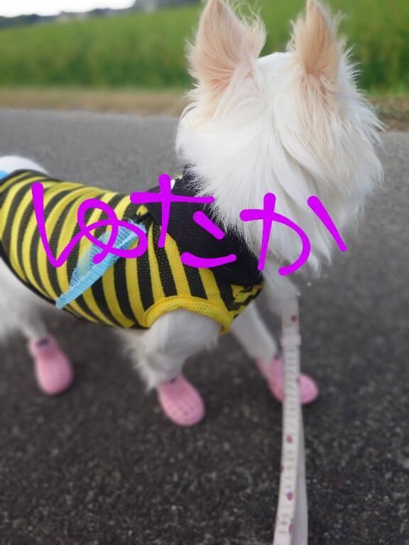 ピッタリ☆