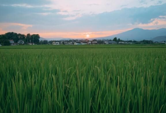 お盆中は