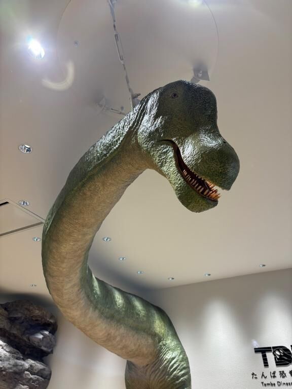 &#129430;&#9825;