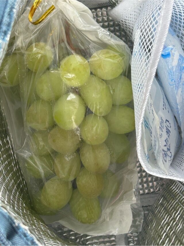 ありがとう