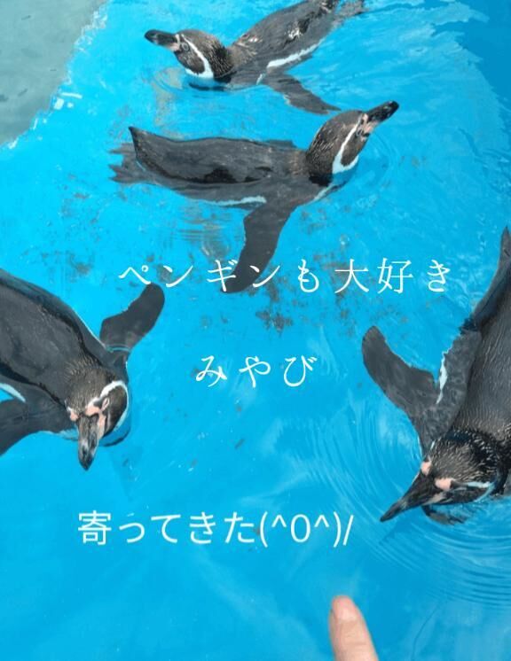 [お題]from:当たってた？さん